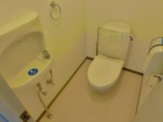 Toilet. Functional Western-style toilet