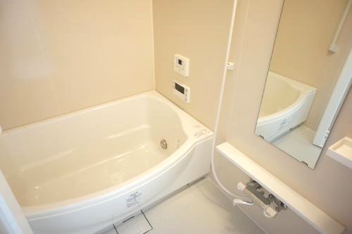 Bath. It is full of reheating function mist sauna rooms!