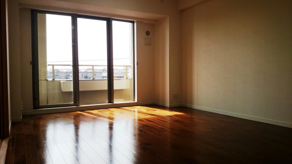 Living. Indoor (10 May 2013) Shooting Southwest-facing living room per day is good! Already cross stuck in place.