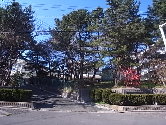 Junior high school. Miyamoto 567m until junior high school (junior high school)