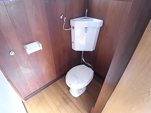 Toilet. Of course, Western-style toilet.