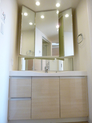 Washroom. This basin mirror back with storage shampoo dresser. Large wash that set up by two people