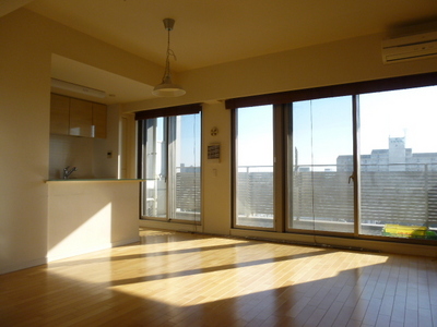 Living and room. Bright living plugging sunlight from large windows. Windows are double sash