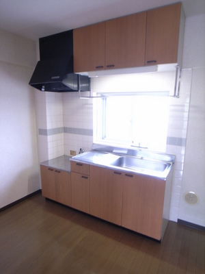 Kitchen. Two-burner gas stove installation Allowed! Sink is also wide!