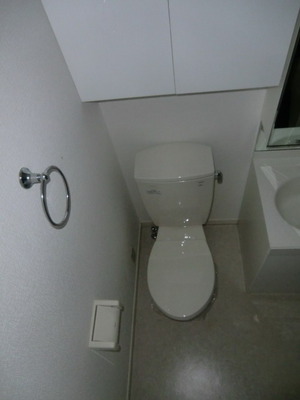 Toilet. Western-style toilet