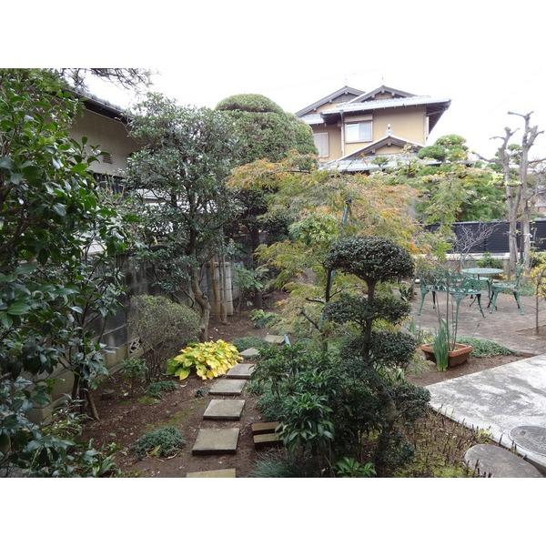Kitchen. Garden