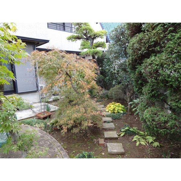 Toilet. Garden