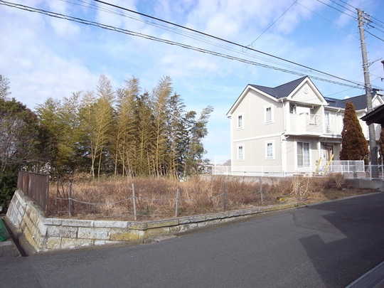 Local land photo