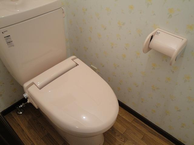 Toilet. Photos will be the reference photograph of different room.
