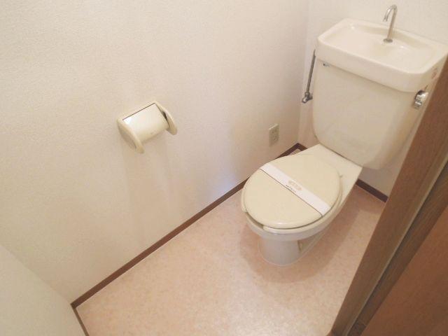 Toilet. Toilet space is wide.