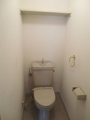 Toilet. Toilet