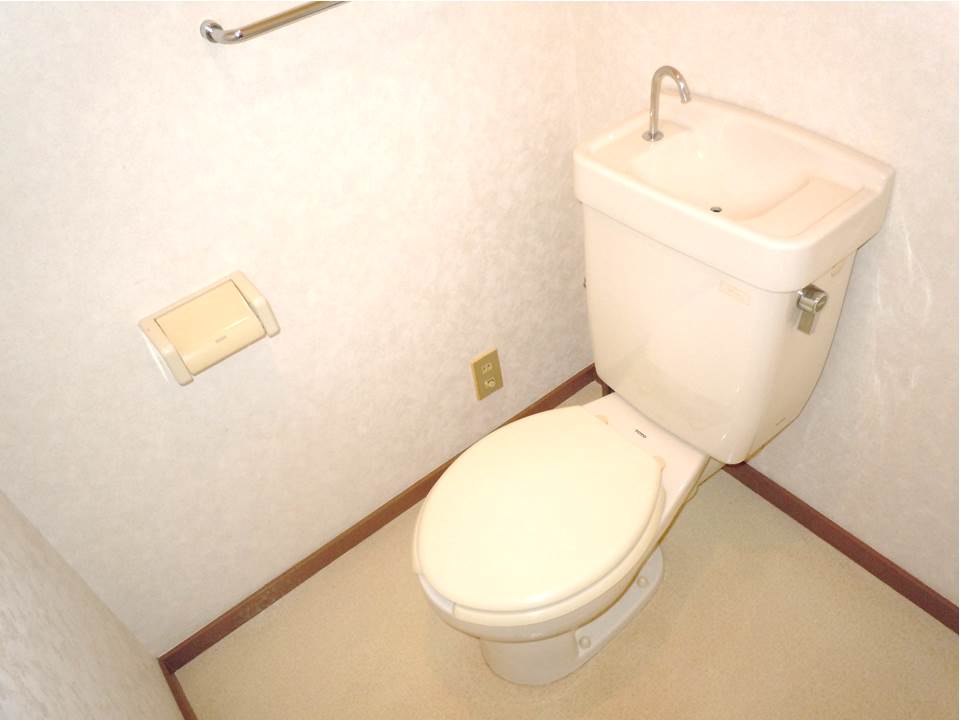 Toilet. It is wider than normal toilet.