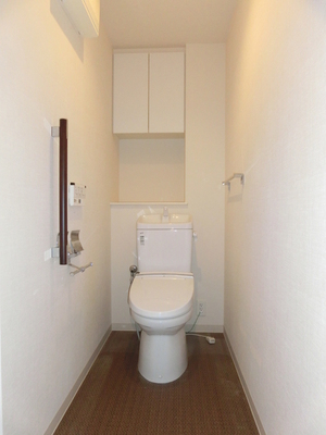 Toilet. Paper and detergents is convenient there is a shelf that can be stored