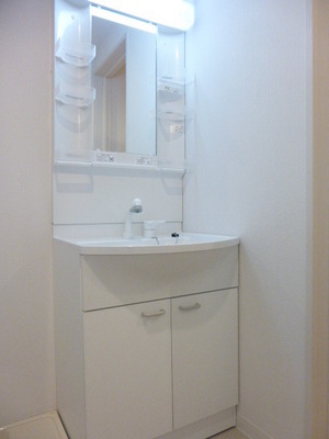 Washroom. Independent wash basin with shampoo dresser