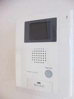 Security. Strengthening crime prevention surface in the intercom with TV monitor