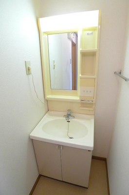 Washroom. Bathroom vanity