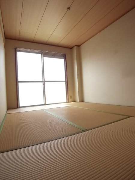 Living and room. It is very calm Japanese-style room!