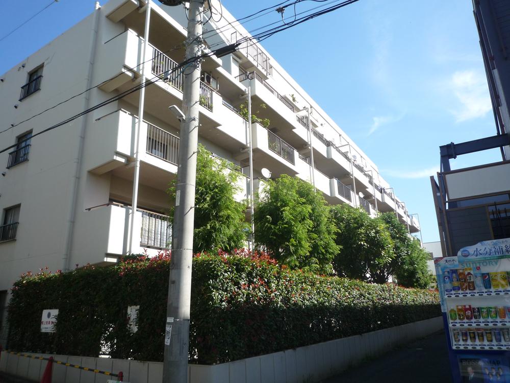 Local appearance photo. Local (10 May 2013) Shooting