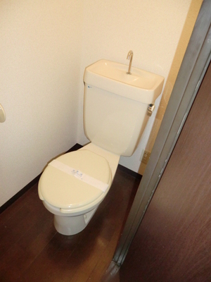 Toilet. Toilet