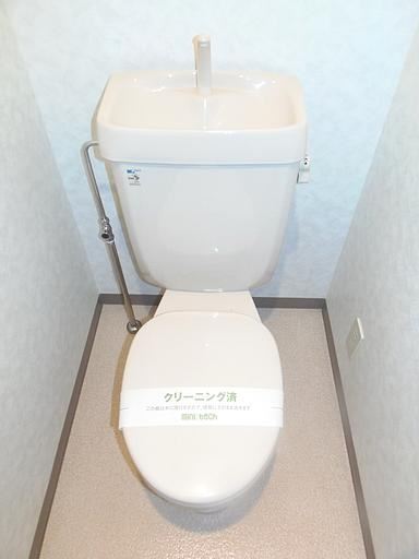 Toilet. Western-style toilet.