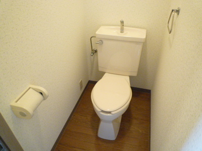 Toilet. Typical indoor photo Toilet with a convenient shelf for storage. 