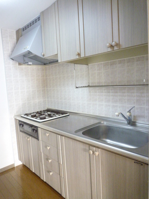 Kitchen. Typical indoor photo Independent kitchen to show refreshing rooms. 