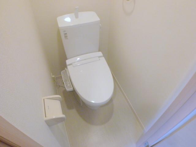 Toilet. Clean Washlet