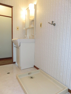 Washroom. Easy-to-use independent wash basin for washing machine inside the room can be installed