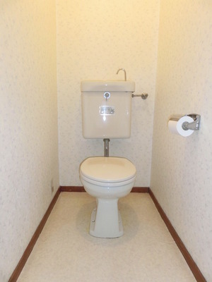 Toilet. It is bright with clean Western-style toilet.