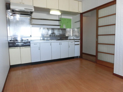 Kitchen. Kitchen gas stove already replaced with plenty of storage.