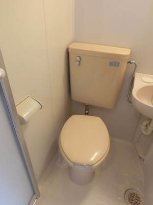 Toilet. Western-style toilet