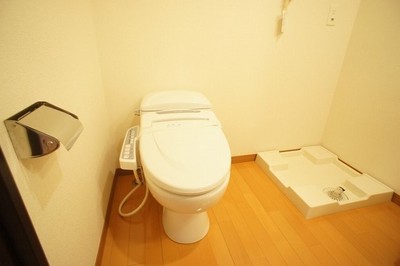 Toilet. Toilet and washing machine and toilet are in the same room. 