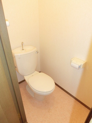 Toilet. Western-style toilet