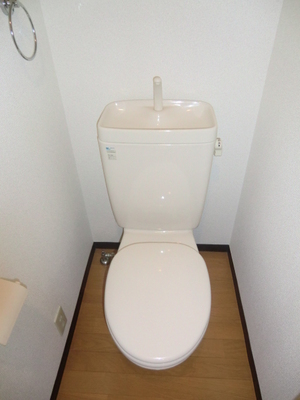 Toilet. Toilet