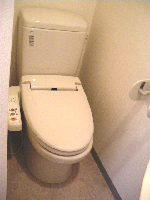 Toilet