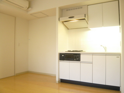 Kitchen. Useful system kitchen to self-catering