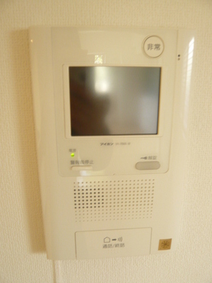 Security. Intercom with TV monitor that can correspond to check the visitor's