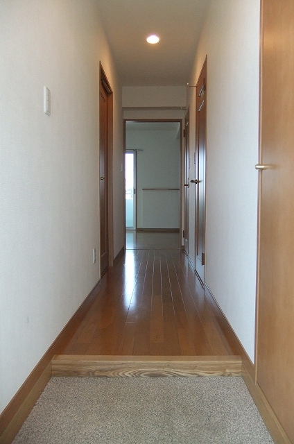 Entrance. It is spacious entrance. Large shoe box