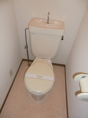 Toilet. It is a beautiful toilet