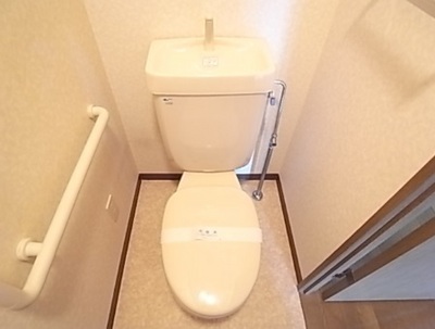 Toilet. Spacious toilet