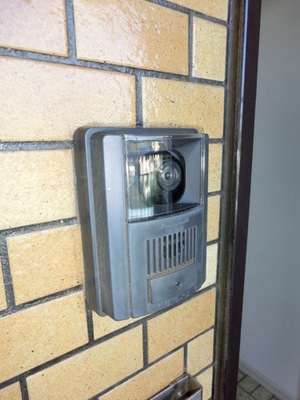 Security. TV monitor with intercom