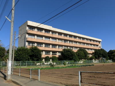 Primary school. Sandwiched between 600m to the south elementary school (elementary school)