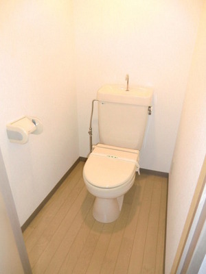 Toilet. It is a beautiful toilet