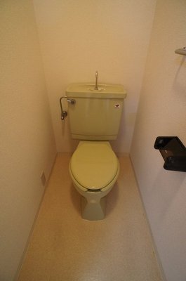 Toilet. Since there is an electrical outlet can be installed a bidet.