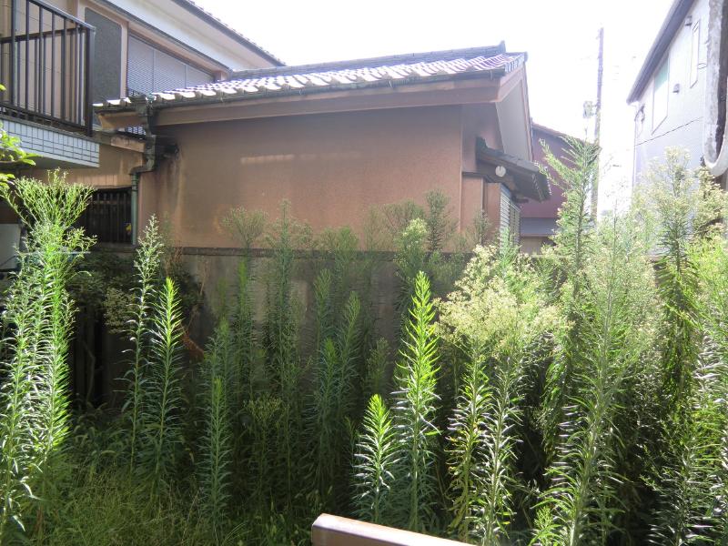 Balcony. Balcony is also warm comfortably