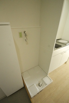 Other. Indoor Laundry Storage