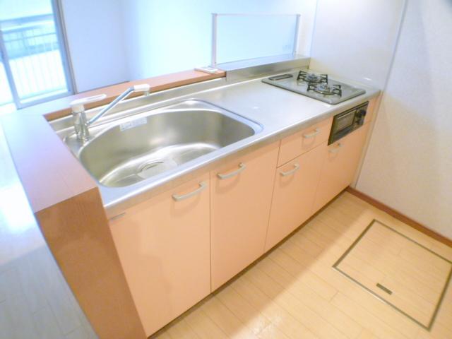 Kitchen. Also fish grill attached to the two-burner stove system.