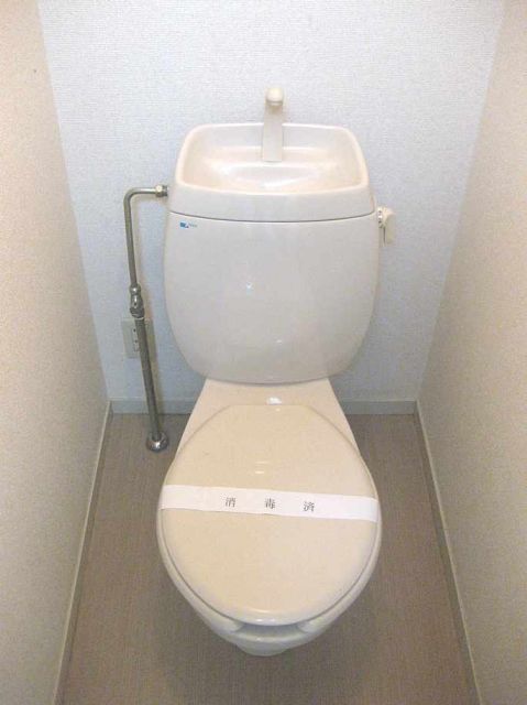 Toilet. Toilet