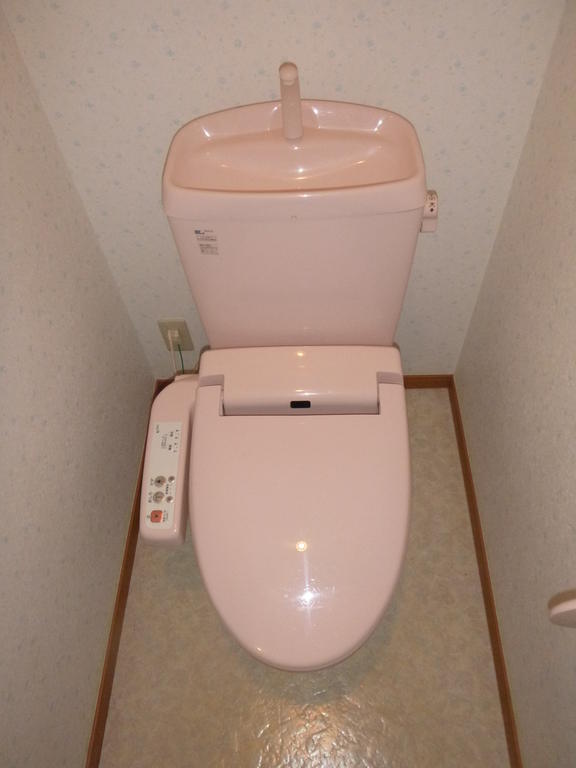 Toilet. It is a toilet with a clean.