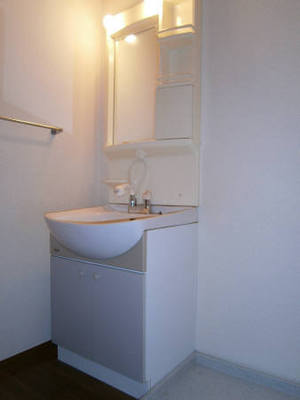 Washroom. Shampoo dresser